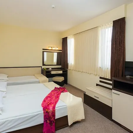 Hotel Viand Sunny Beach